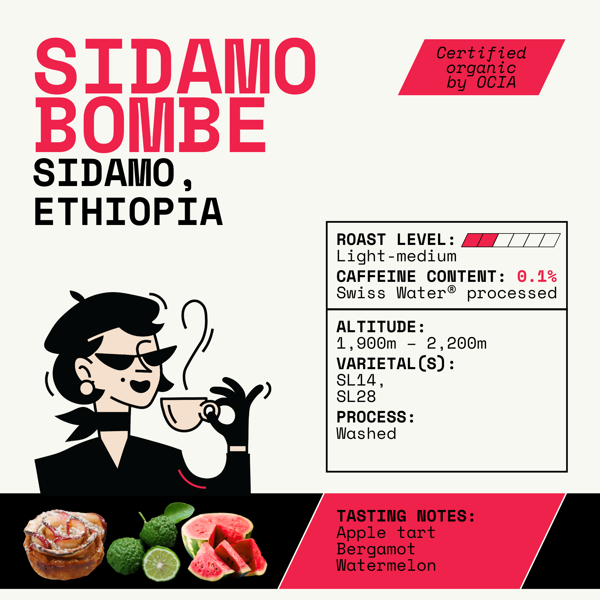 Look on the Bright Side Bundle