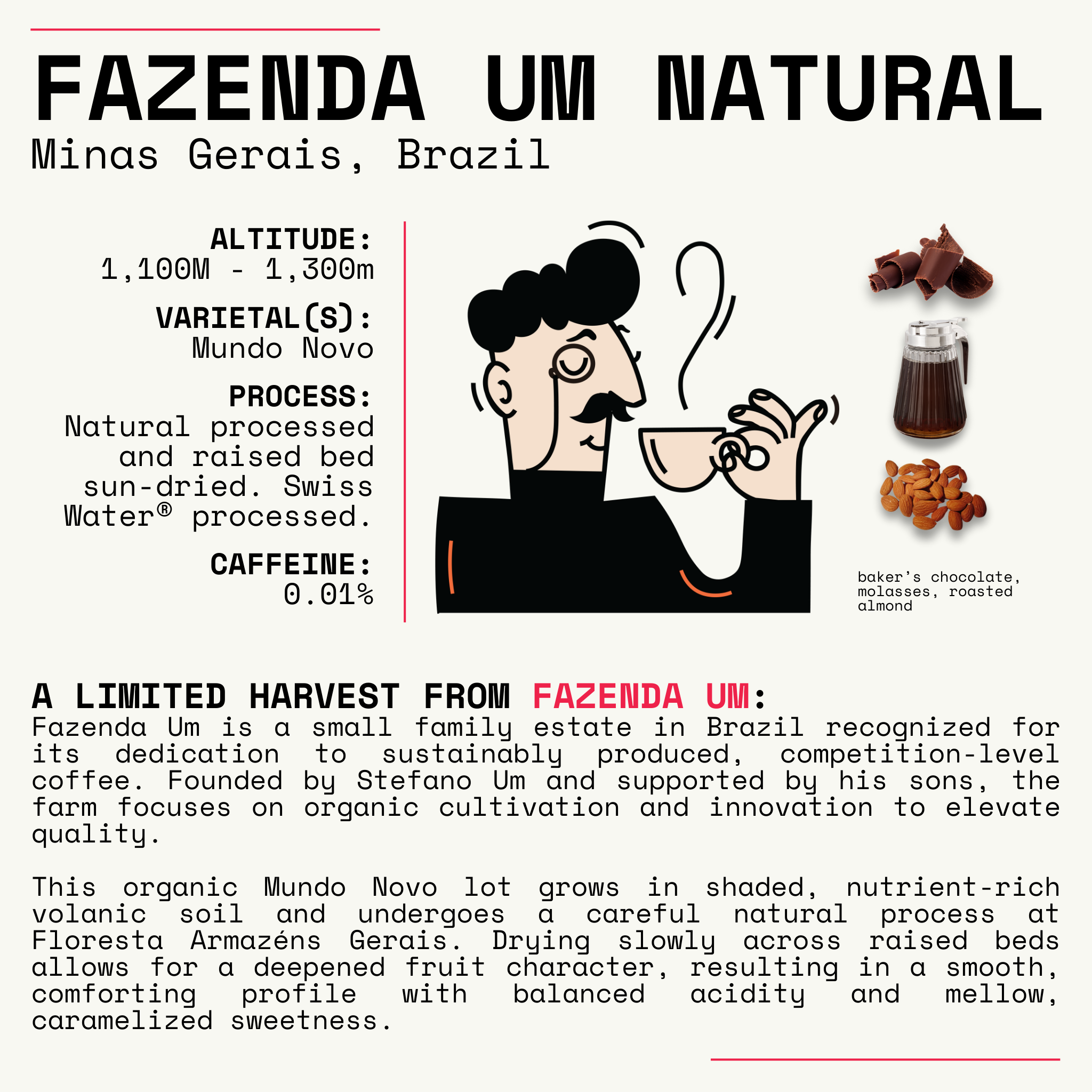 A Quiet Season - Limited Edition Holiday Blend