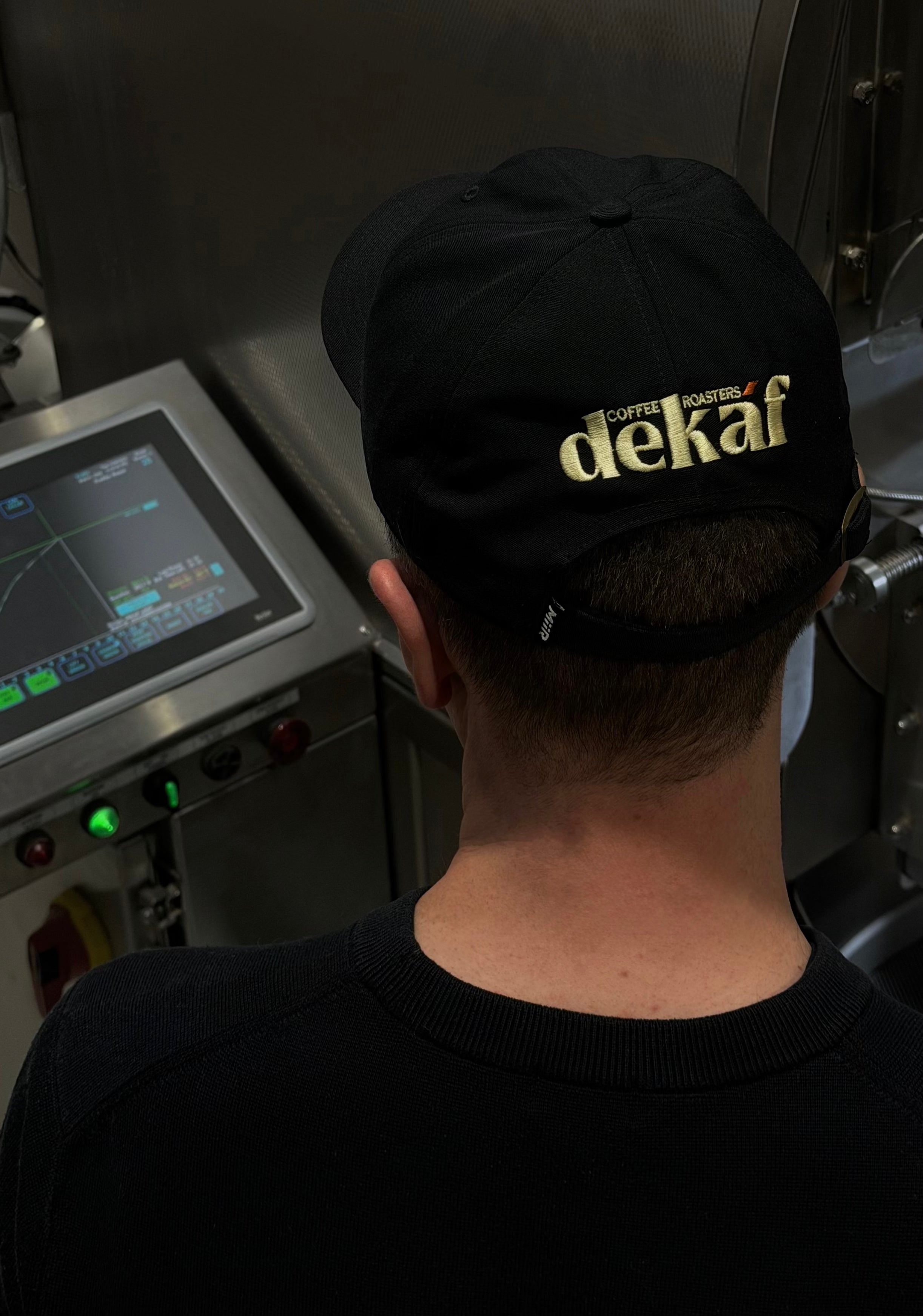 Series 001 Dad Hat