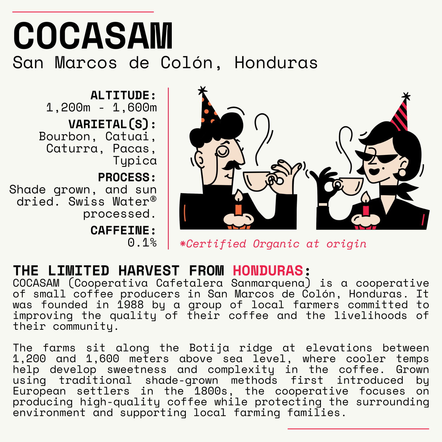 Dekáf 2026 Birthday Bundle 2.0 - Honduras Cocasam