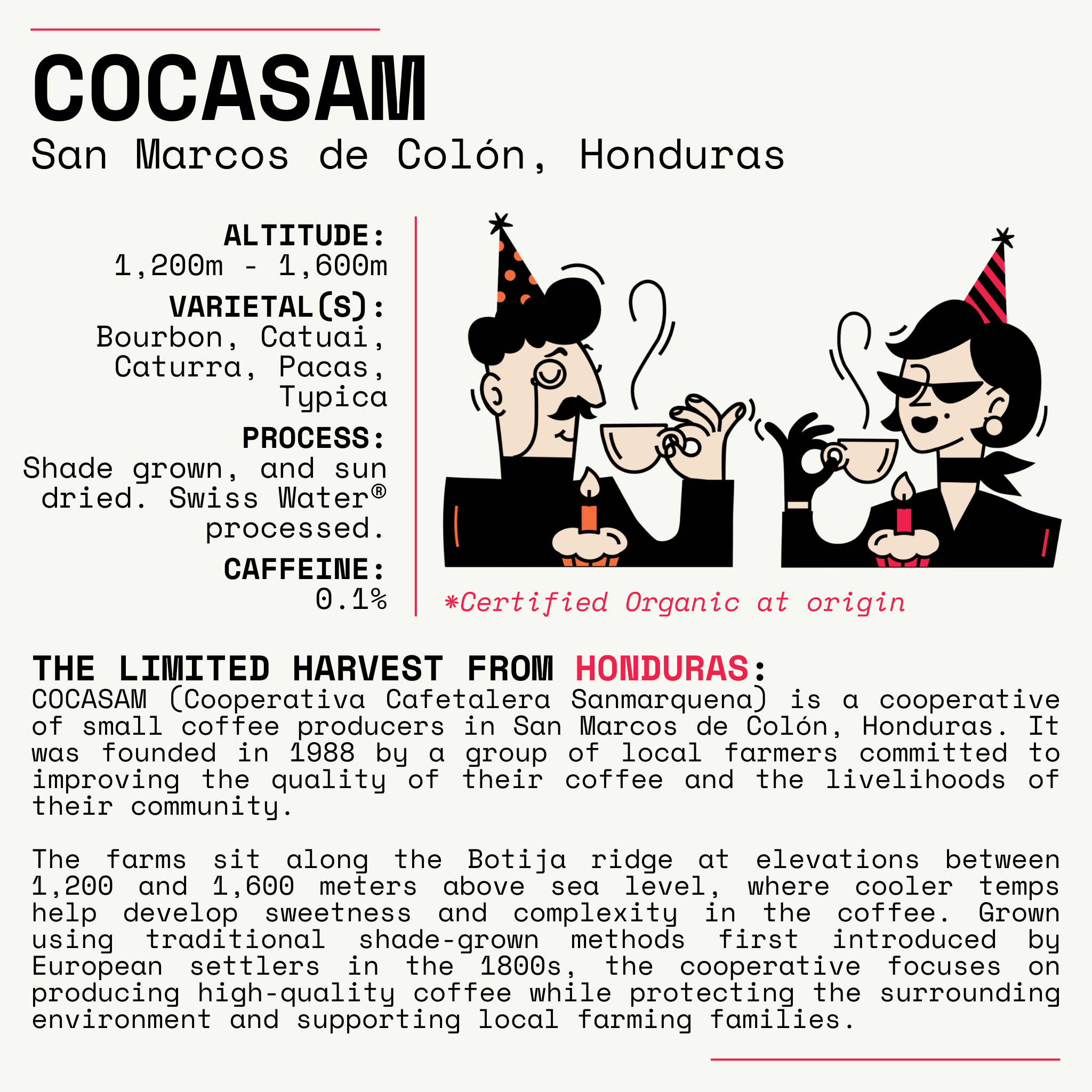 Dekáf 2026 Birthday Bundle 2.0 - Honduras Cocasam